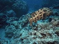 Unit 2 What's for dinner